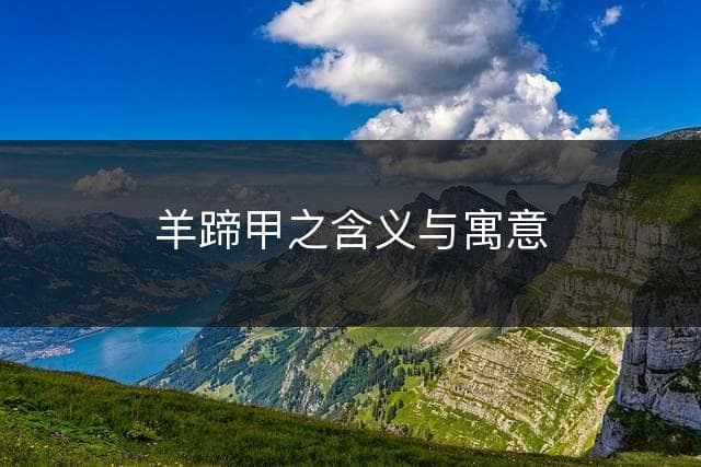 羊蹄甲之含义与寓意