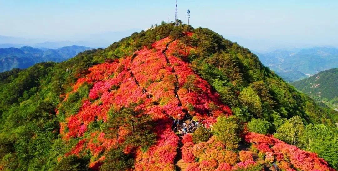 麻城四季旅游攻略：从花海到雪景，领略大别山下的多彩之城