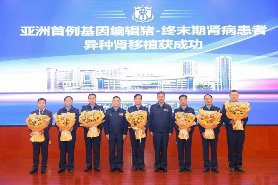 我国科学家完成亚洲首例异种肾移植手术 四川企业提供基因编辑猪