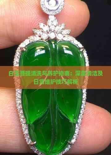 白玉菩提清洗与养护指南：深度清洁及日常维护技巧解析