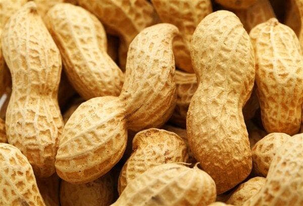 生花生能治胃病吗？专家解读其作用与注意事项