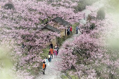 揭秘：烟花三月究竟指的是哪个月份？
