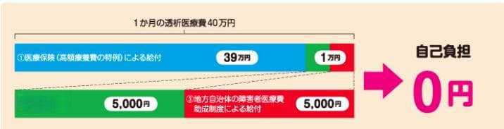 日本实现世界先进透析大国的因素