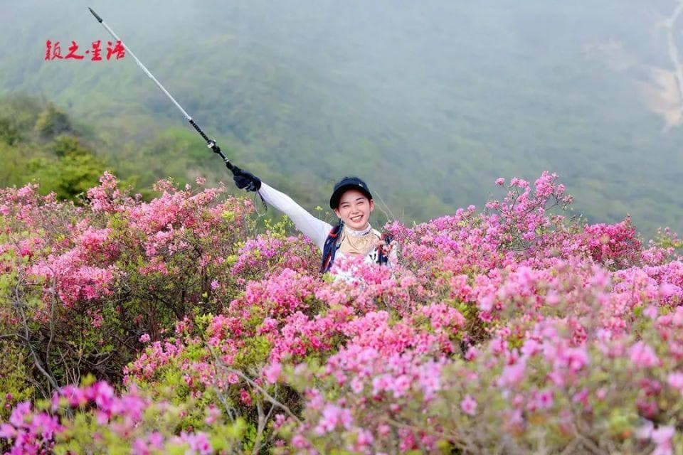 宁波赏杜鹃攻略：金峨山堵车，炮台岗清幽，影潭山惊艳