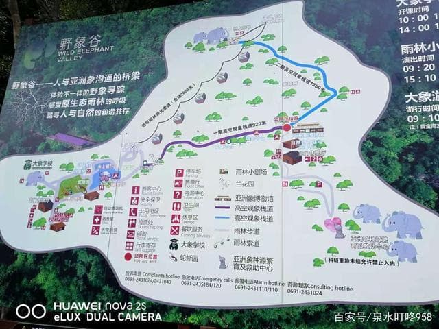 探索野象谷：一场与大自然亲密接触的奇妙旅程