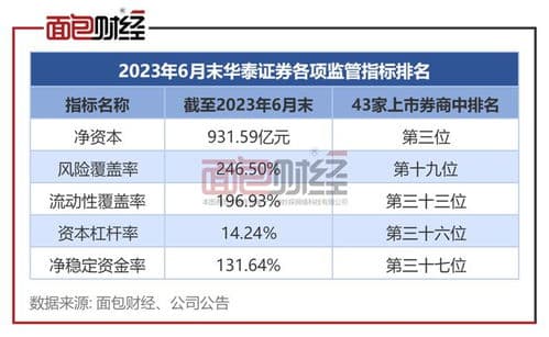 证券B级是什么意思,风险收益并存的投资选择