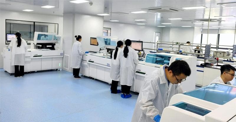 结核分枝杆菌的实验室检测及结核病的治疗和预防