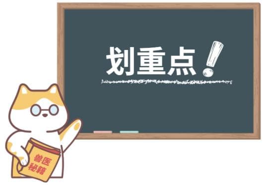 红霉素软膏能治狗狗真菌感染？别被误导了！真相在这里！