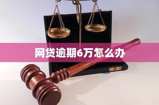 网贷逾期6万怎么办？这份详细解决方案请收好