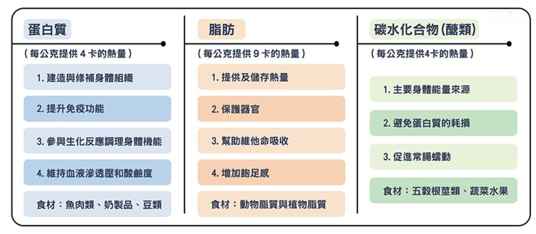 如何设计自己的完美菜单：TDEE掌握你的三大营养素