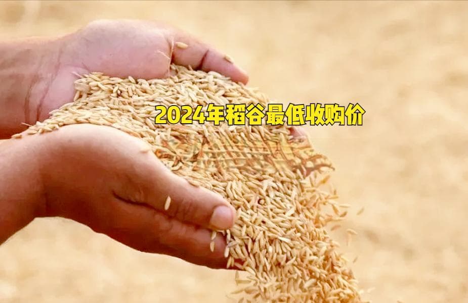 2024年稻谷最低收购价公布：早籼稻实现5连涨，释放哪些重要信号？