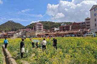 踏春赏花正当时 福建泉州虹山乡展现农文旅融合魅力