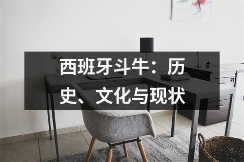 西班牙斗牛：历史、文化与现状