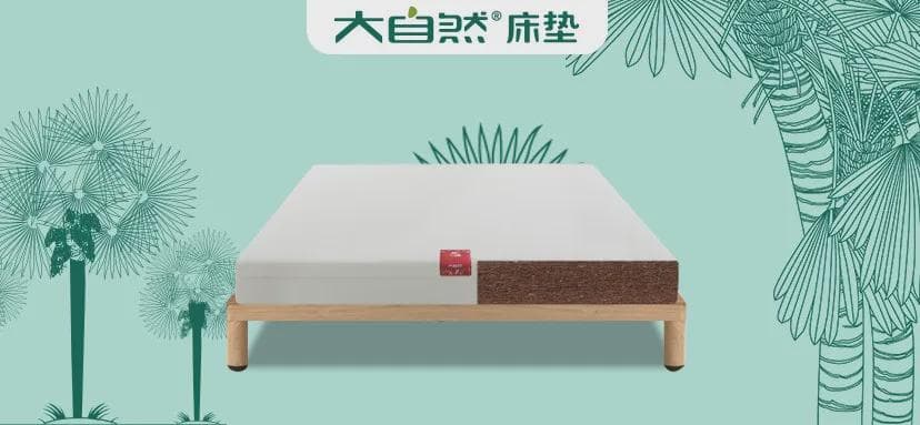床垫材质深度剖析：大自然教你如何挑选最适合你的睡眠伙伴