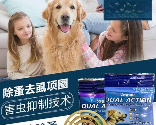 猫咪体外驱虫完全指南：从药品选择到日常护理
