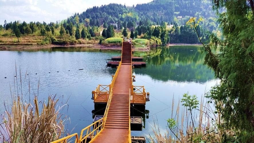 清水湖湿地公园四季探秘：白鹭栖息地生态摄影全攻略