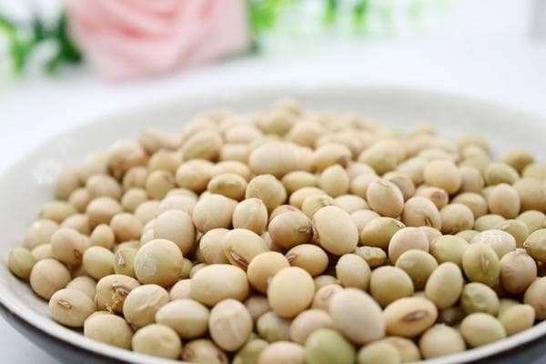 豆浆豆腐到大豆油：一文详解大豆的营养与食用指南