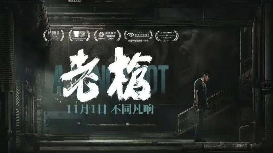 口碑新作｜真实影迷评《老枪》：演技生动 震撼内心