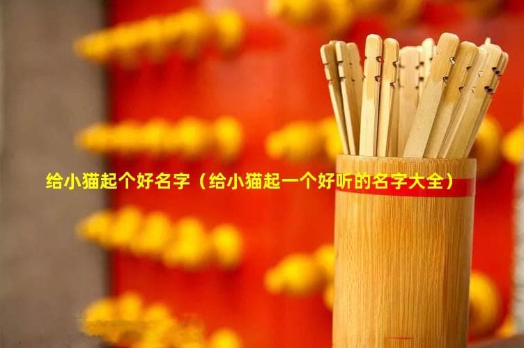给小猫起个好名字（给小猫起一个好听的名字 大全）