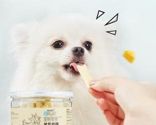 泰迪犬营养餐：肉类蔬菜水果这样搭配最健康
