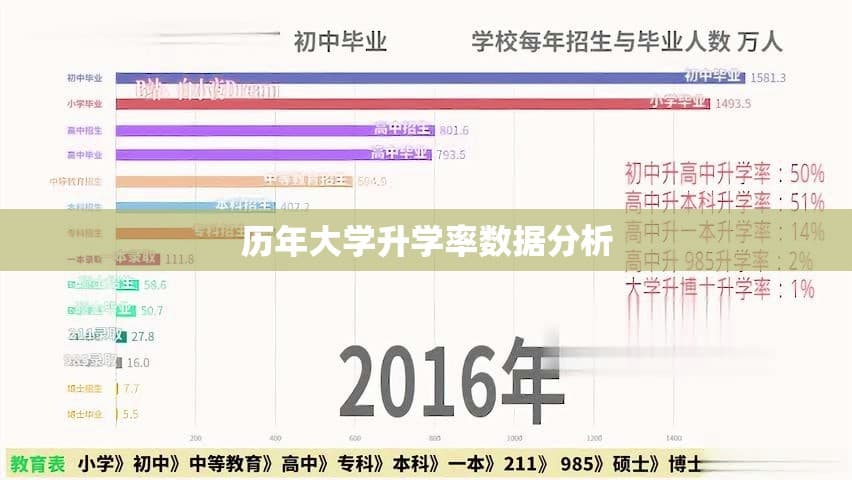 历年大学升学率数据分析：洞察教育发展的轨迹与趋势