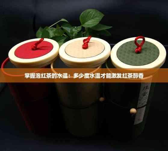 掌握泡红茶的水温：多少度水温才能激发红茶醇香