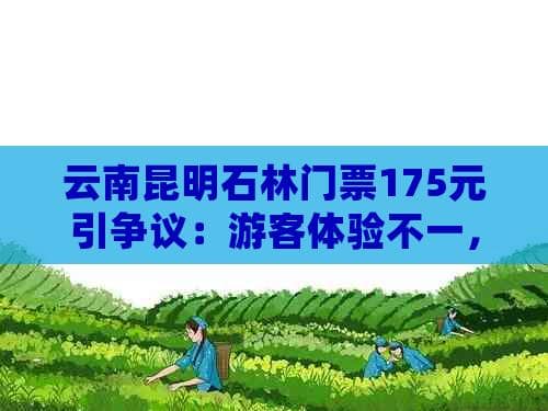 云南昆明石林门票175元引争议：游客体验不一，一探究竟是否值得一去