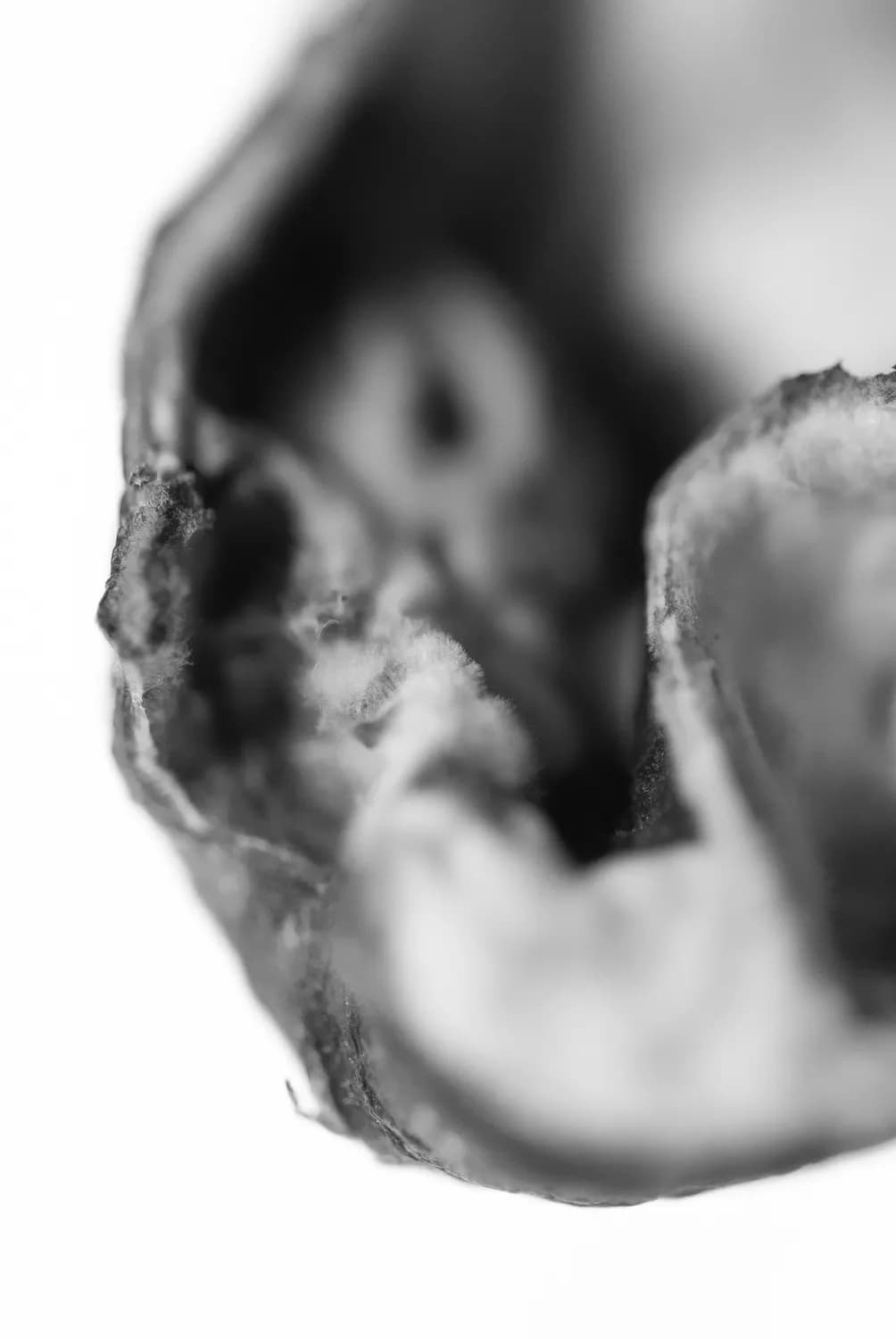 科学解读：音乐胎教到底该怎么“玩”？