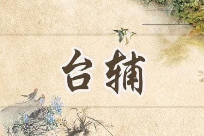 紫微斗数中的台辅含义是什么？