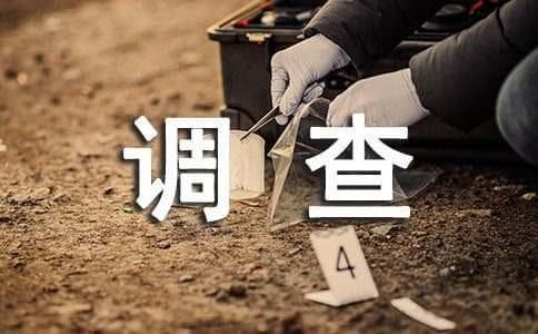 中国三农问题现状的调查报告