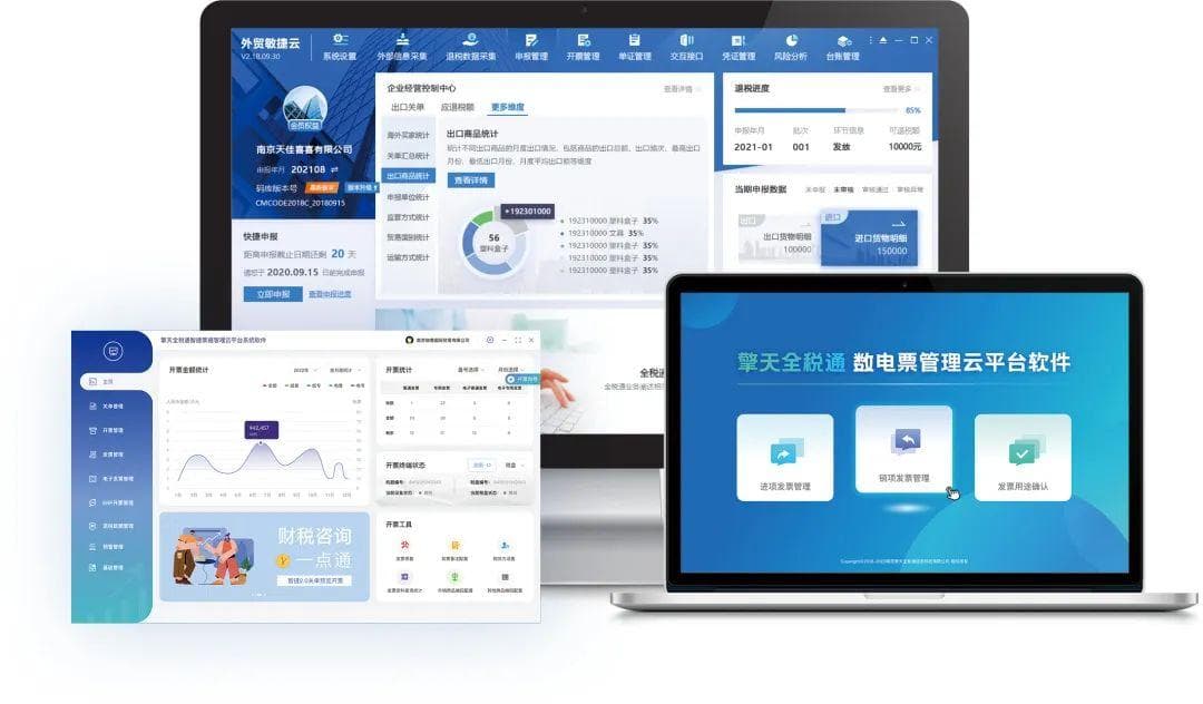 以数电发票为切入点 撬动经济社会数字化转型