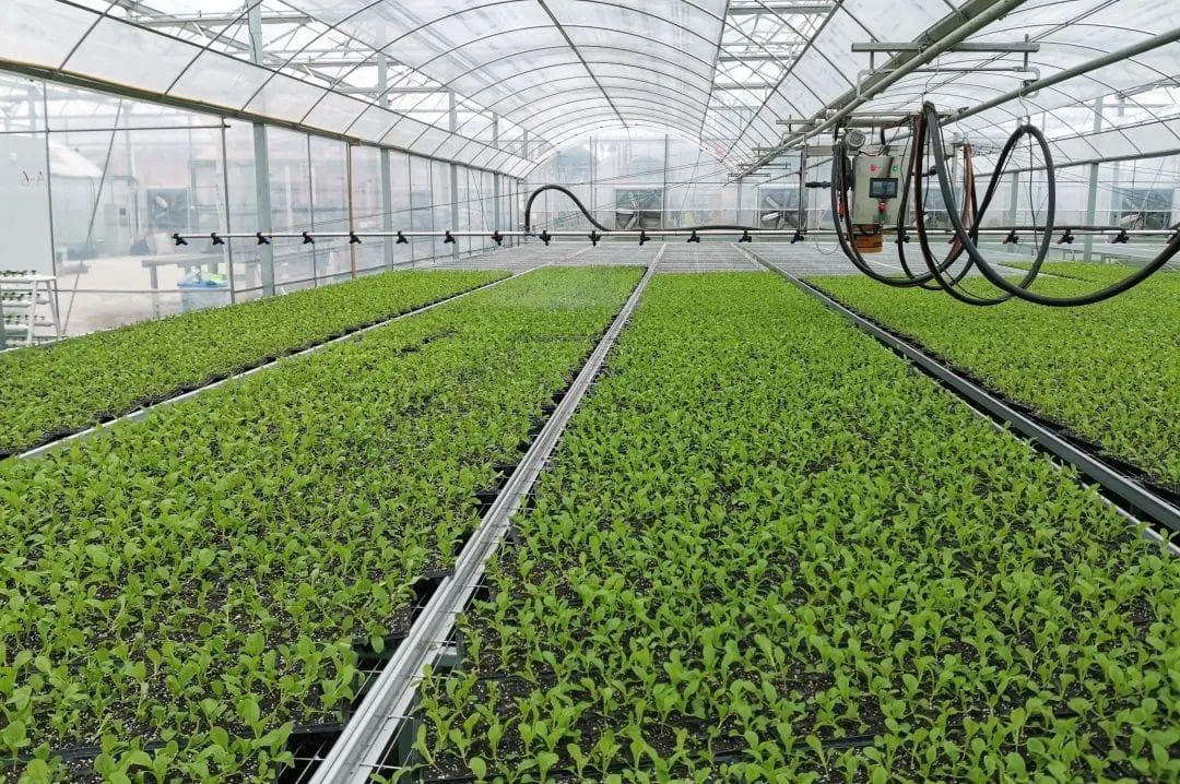 农艺农机融合丨叶菜种植机械化“一条龙”，余杭区打造智能化现代农业科技示范园