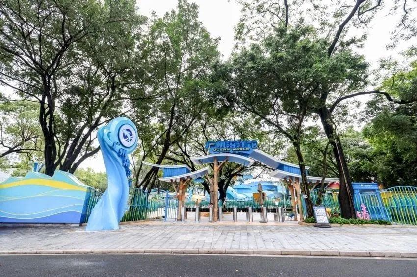 城市动物园，卷起来了