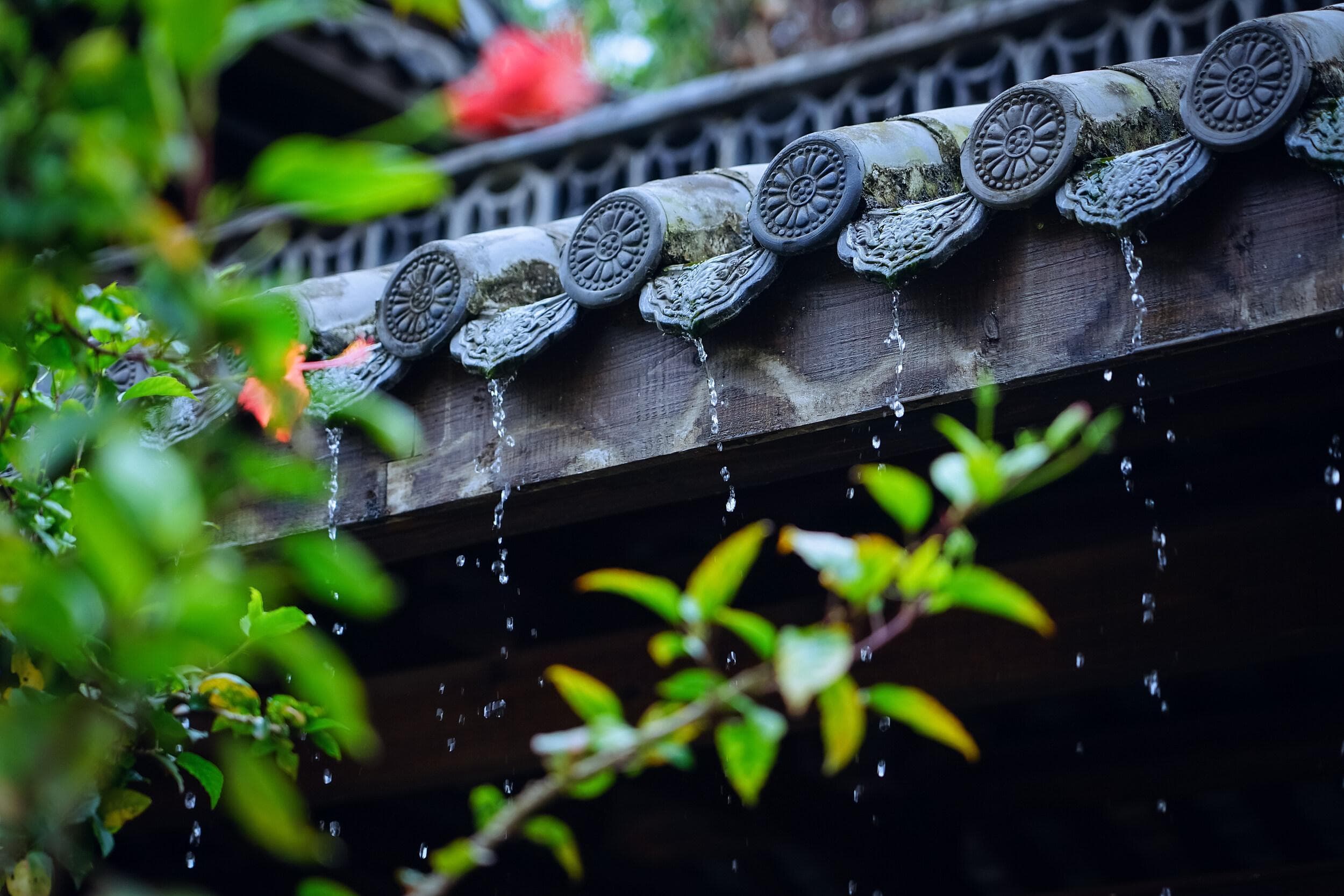 应对梅雨季，这些常识你要知道