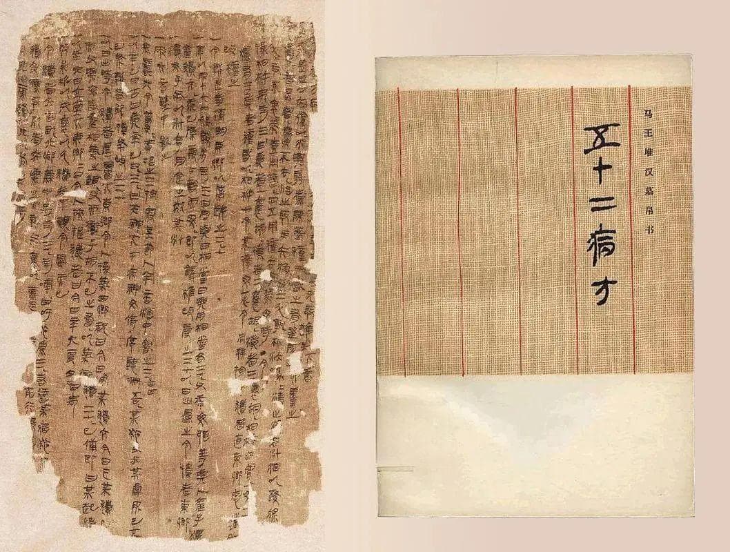 溯源中国小百科 | 阿胶品种考：驴皮是如何胜出的？