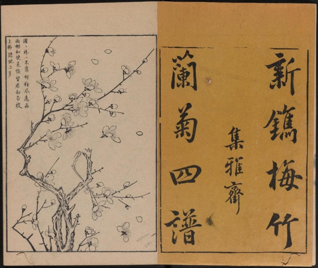 怀瑾握瑜，风禾尽起：解读中国传统文化中的“四君子”