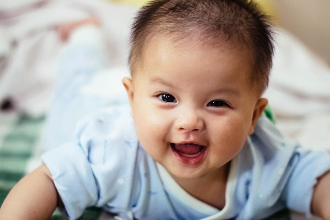 农村养老保险交哪个档较合适