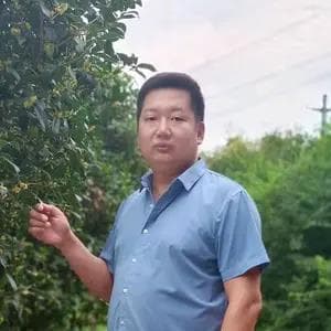 全屋无线覆盖的4种组网方案