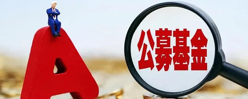“严监管”下的公募基金