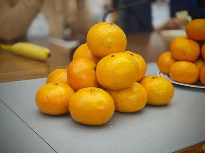 砂糖橘致癌、耙耙柑打了退酸剂？今年柑橘还能不能吃了？