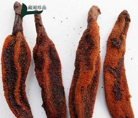 肾精草的神奇功效（探究肾精草的药用价值及其对人体的益处）