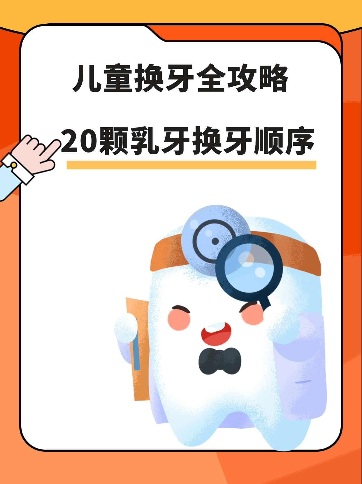 儿童换牙全攻略：20颗乳牙换牙顺序
