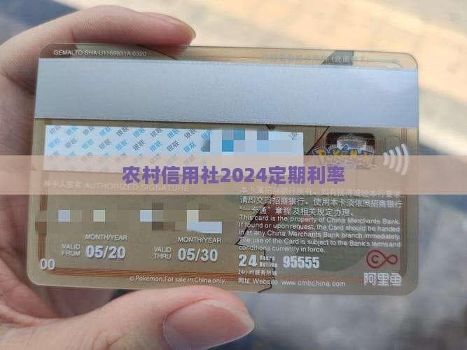 农村信用社2024定期利率政策详解