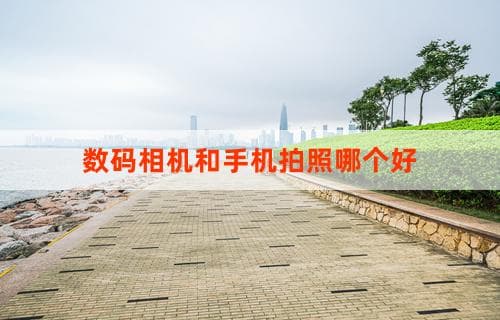 数码相机和手机拍照哪个好？深度解析各自优劣势