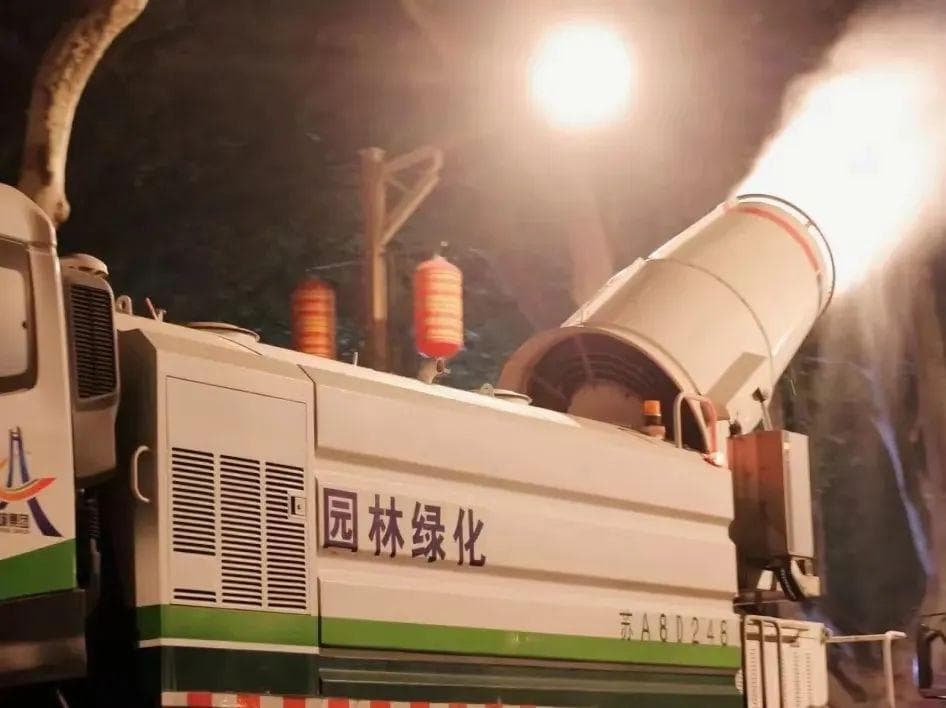 在南京，法桐为何“不可替代”