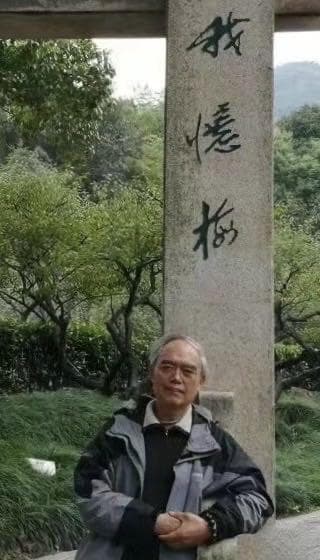 梅花憶我我憶梅——雪岛（徐锁荣）水墨写意梅花
