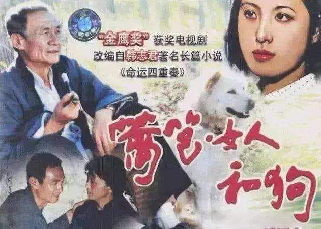 90年代爆红的这5部农村电视剧，剧和歌都是经典，父母辈们都看过，你看过吗？