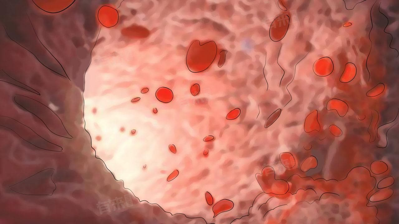 尿隐血是什么意思