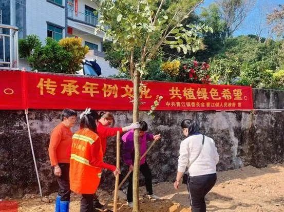 粤西年例有了新过法！茂名高州时兴党群种植“年例树”