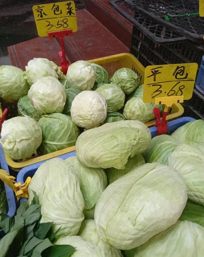 包菜扁的叫平包，圆的是京包，教你手撕包菜如何做出饭店味道
